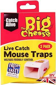 STV L/CATCH MOUSE TRAP X2 STV155 D08772