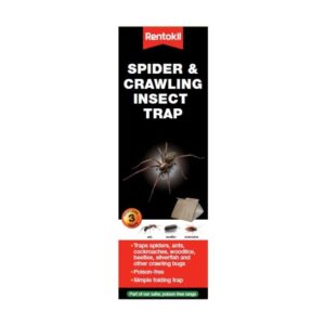 RNTKL SPIDERINSECT TRAP    FS58 D52263