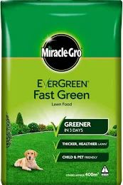 400M2 EVERGREEN FAST GREEN