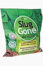 SLUG GONE 1L   5SLG1