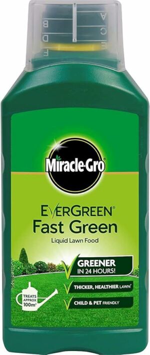 EVERGREEN EXTREME GREEN LIQUID 1L