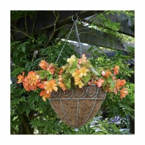 Scrolled Cone Hanging Basket